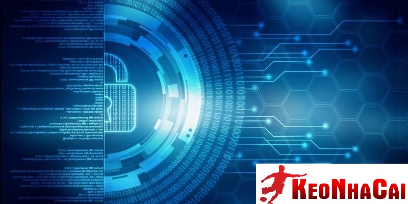 Chính sách cookie và ghi nhớ người dùng