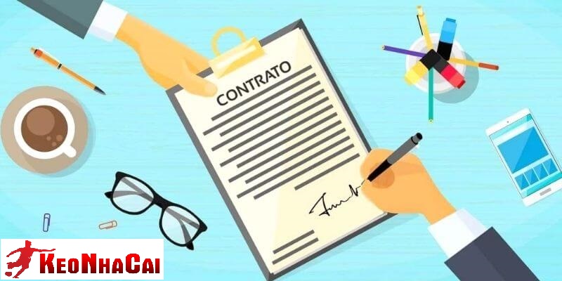 Quyền và trách nhiệm của keonhacai.domains