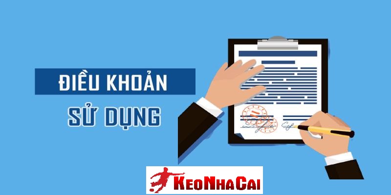 Mục đích và phạm vi áp dụng điều khoản