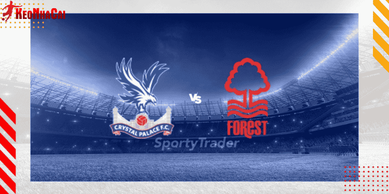Trận đấu giữa Crystal Palace vs Nottingham Forest tại vòng 35 Premier League 2024/25 là một cuộc chạm trán quan trọng với cả hai