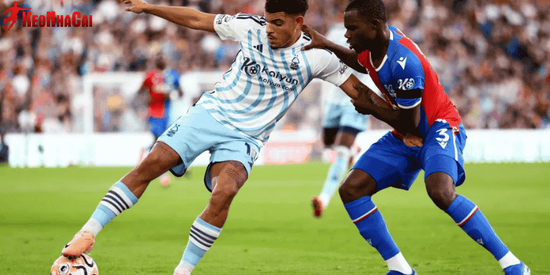 Trận Crystal Palace vs Nottingham được đánh giá sẽ diễn ra với thế trận giằng co