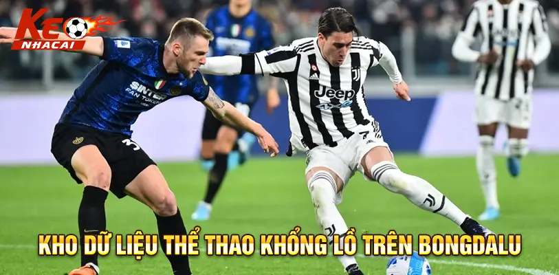 Dữ liệu thể thao và thống kê chi tiết trên Bongdalu