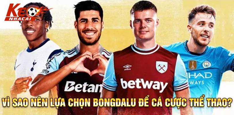 Lựa chọn tin cậy cho dân cá cược thể thao