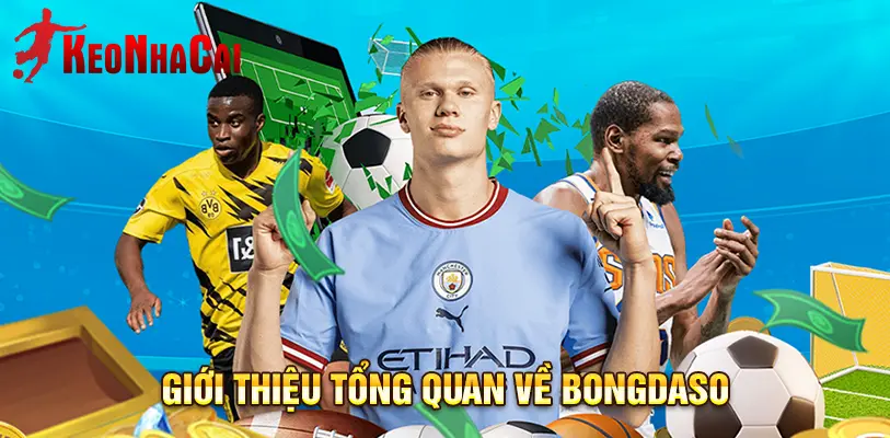 Nền tảng giúp người dùng dễ dàng theo dõi tỷ số bóng đá