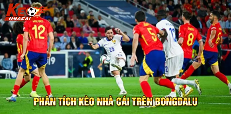 Phân tích kèo nhà cái trực tiếp trên Bongdalu