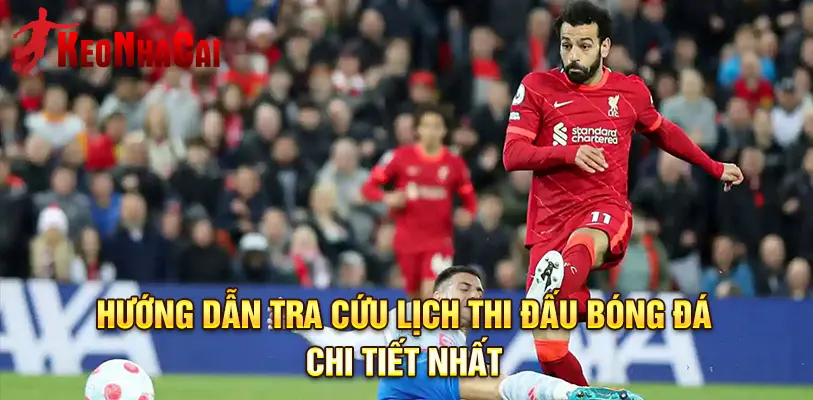 Tra cứu lịch thi đấu mọi lúc trên điện thoại di động